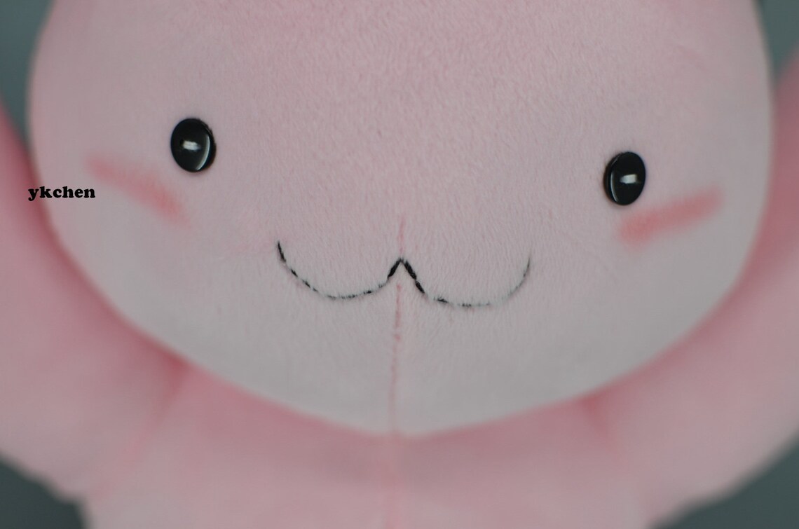 ouran rabbit