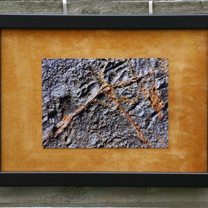 May include: Framed abstract art print featuring a close-up of a textured, gray and brown rock surface. The print is set within a black frame, mounted on a golden-brown background.
