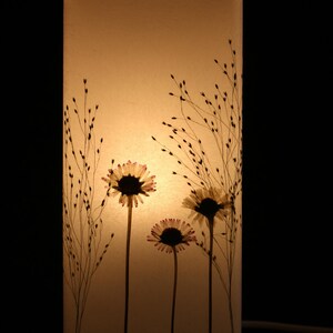 Lampe mit gepressten Gänseblümchen und Fontänengras, Lamp with pressed daisies image 5