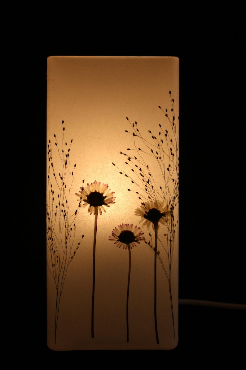 Lampe mit gepressten Gänseblümchen und Fontänengras, Lamp with pressed daisies image 5