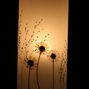 Lampe mit gepressten Gänseblümchen und Fontänengras, Lamp with pressed daisies image 6