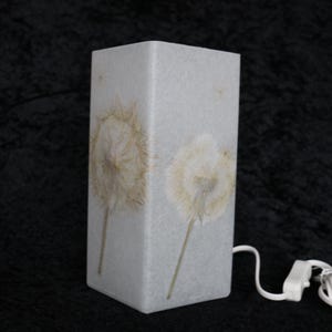 Lampe mit gepresster Riesen-Pusteblume, Lamp with Pressed Giant Dandelion image 3