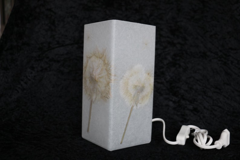 Lampe mit gepresster Riesen-Pusteblume, Lamp with Pressed Giant Dandelion image 3