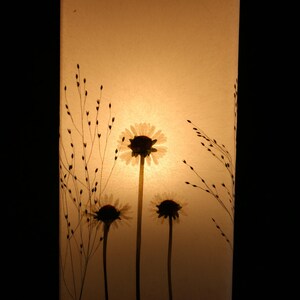Lampe mit gepressten Gänseblümchen und Fontänengras, Lamp with pressed daisies image 7