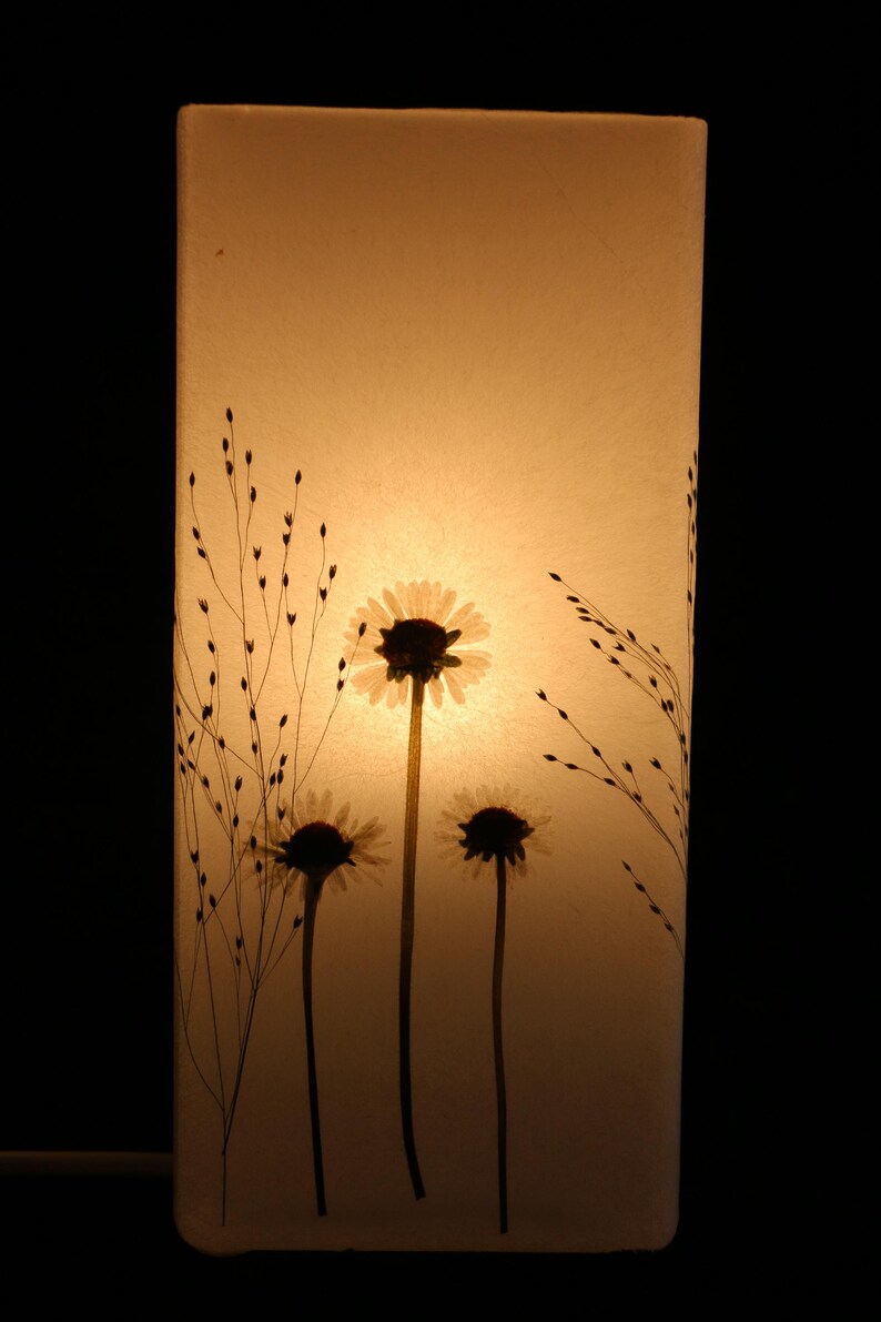 Lampe mit gepressten Gänseblümchen und Fontänengras, Lamp with pressed daisies image 7