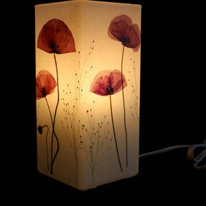 Lampe mit gepresstem Mohn und Fontänengrag - lampada con papavero rosso pressato ed erba