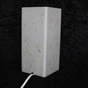 Lampe mit gepresster Riesen-Pusteblume, Lamp with Pressed Giant Dandelion image 4