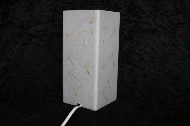 Lampe mit gepresster Riesen-Pusteblume, Lamp with Pressed Giant Dandelion image 4