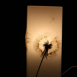 Lampe mit gepresster Riesen-Pusteblume, Lamp with Pressed Giant Dandelion image 6
