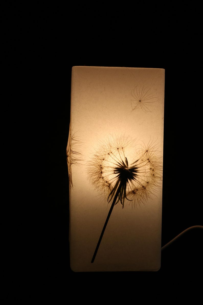 Lampe mit gepresster Riesen-Pusteblume, Lamp with Pressed Giant Dandelion image 6