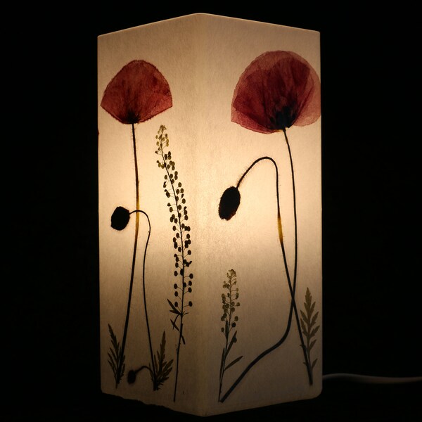 Lampe mit gepresstem Mohn und Hirtentäschel - Lamp with pressed Red poppy and Capsella bursa-pastoris