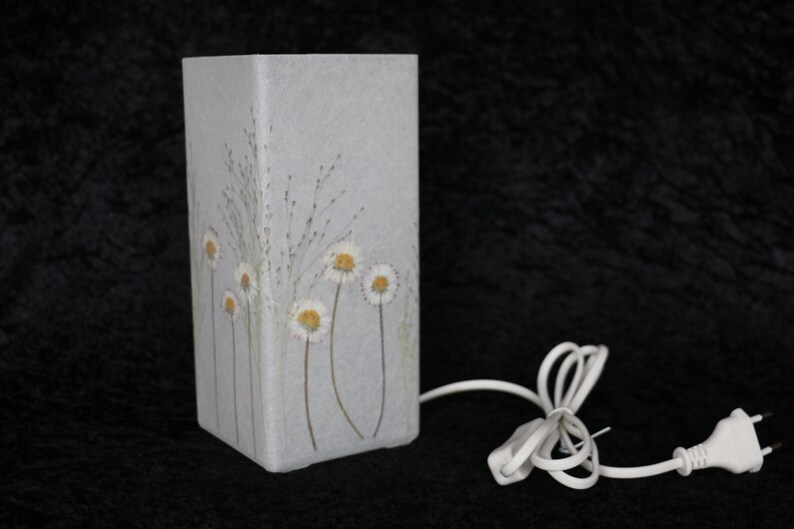 Lampe mit gepressten Gänseblümchen und Fontänengras, Lamp with pressed daisies image 3
