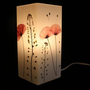 Lampe mit gepresstem Mohn und Hirtentäschel - Lamp with pressed Red poppy and Capsella bursa-pastoris
