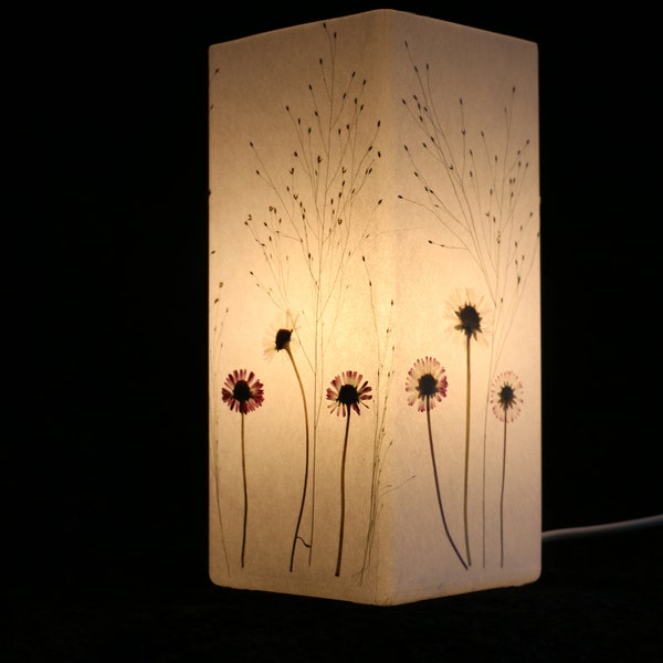 Lampe mit gepressten Gänseblümchen und Fontänengras, Lamp with pressed daisies