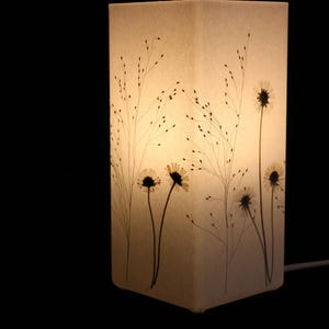 Lampe mit gepressten Gänseblümchen und Fontänengras, Lampada con margherite pressate