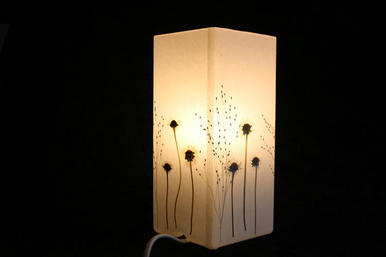 Lampe mit gepressten Gänseblümchen und Fontänengras, Lamp with pressed daisies image 2