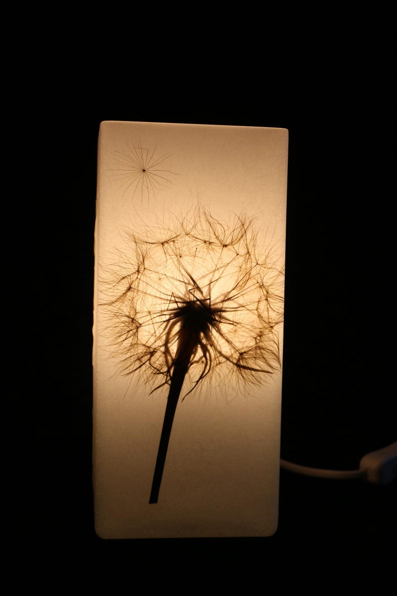 Lampe mit gepresster Riesen-Pusteblume, Lamp with Pressed Giant Dandelion image 5