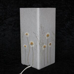 Lampe mit gepressten Gänseblümchen und Fontänengras, Lamp with pressed daisies image 4