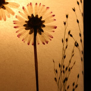 Lampe mit gepressten Gänseblümchen und Fontänengras, Lamp with pressed daisies image 9