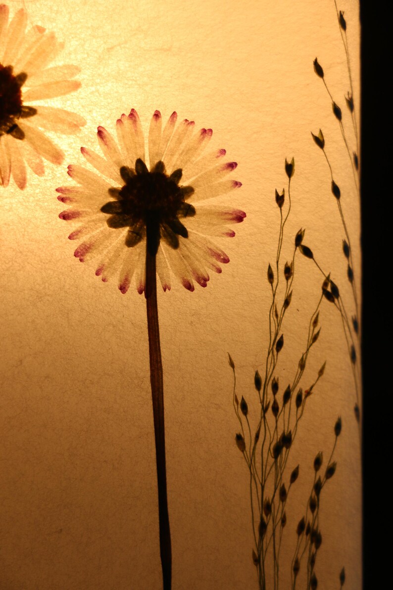 Lampe mit gepressten Gänseblümchen und Fontänengras, Lamp with pressed daisies image 9
