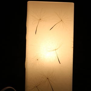 Lampe mit gepresster Riesen-Pusteblume, Lamp with Pressed Giant Dandelion image 7