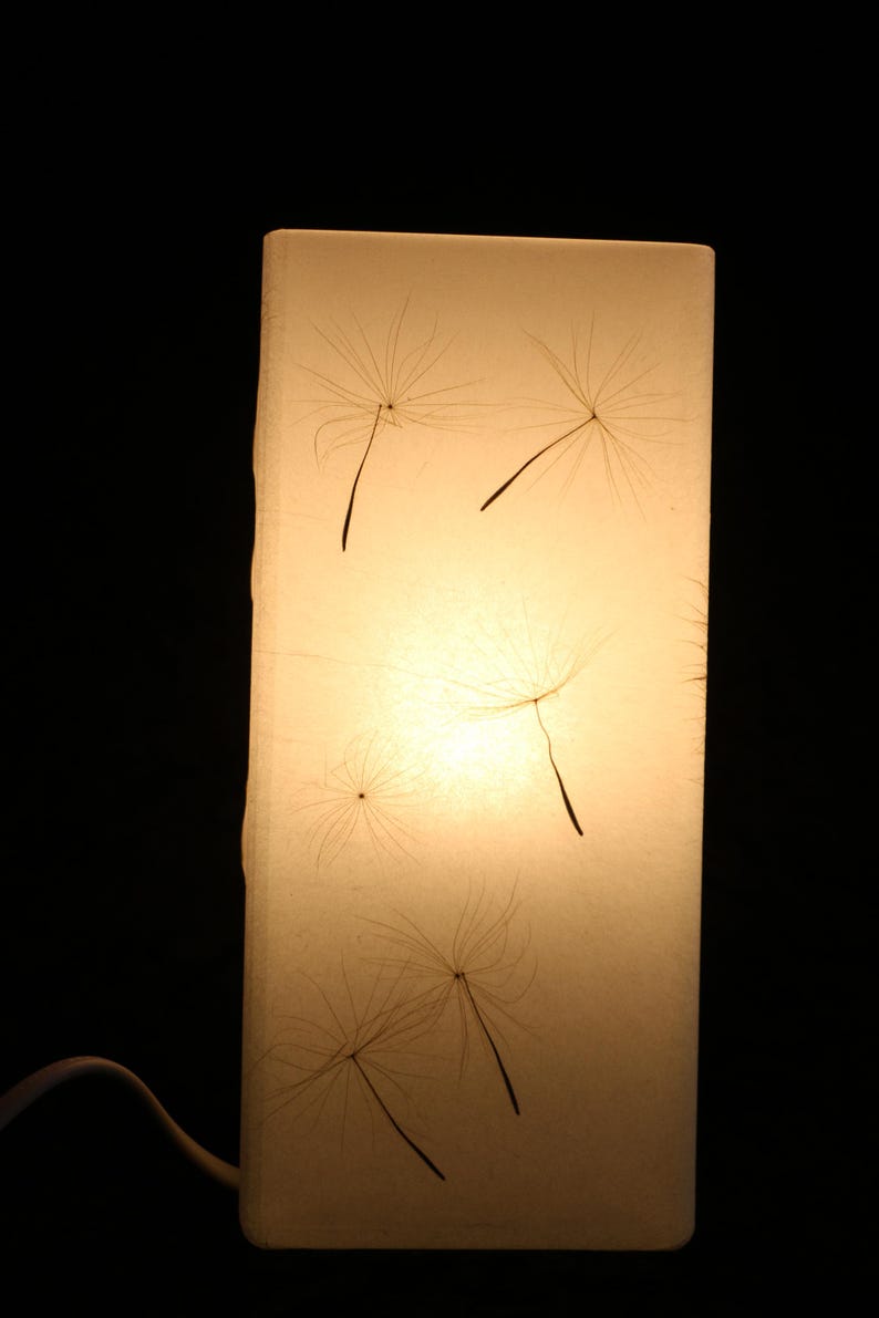 Lampe mit gepresster Riesen-Pusteblume, Lamp with Pressed Giant Dandelion image 7