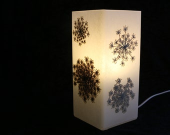 Lampe mit gepressten wilden Möhren, Lámpara con Daucus carota prensado
