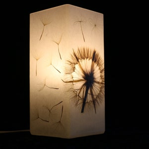 Lampe mit gepresster Riesen-Pusteblume, lampada con dente di leone gigante pressato