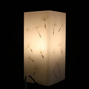 Lampe mit gepresster Riesen-Pusteblume, Lamp with Pressed Giant Dandelion image 2