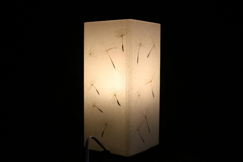 Lampe mit gepresster Riesen-Pusteblume, Lamp with Pressed Giant Dandelion image 2