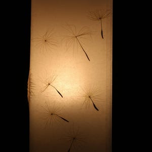 Lampe mit gepresster Riesen-Pusteblume, Lamp with Pressed Giant Dandelion image 8