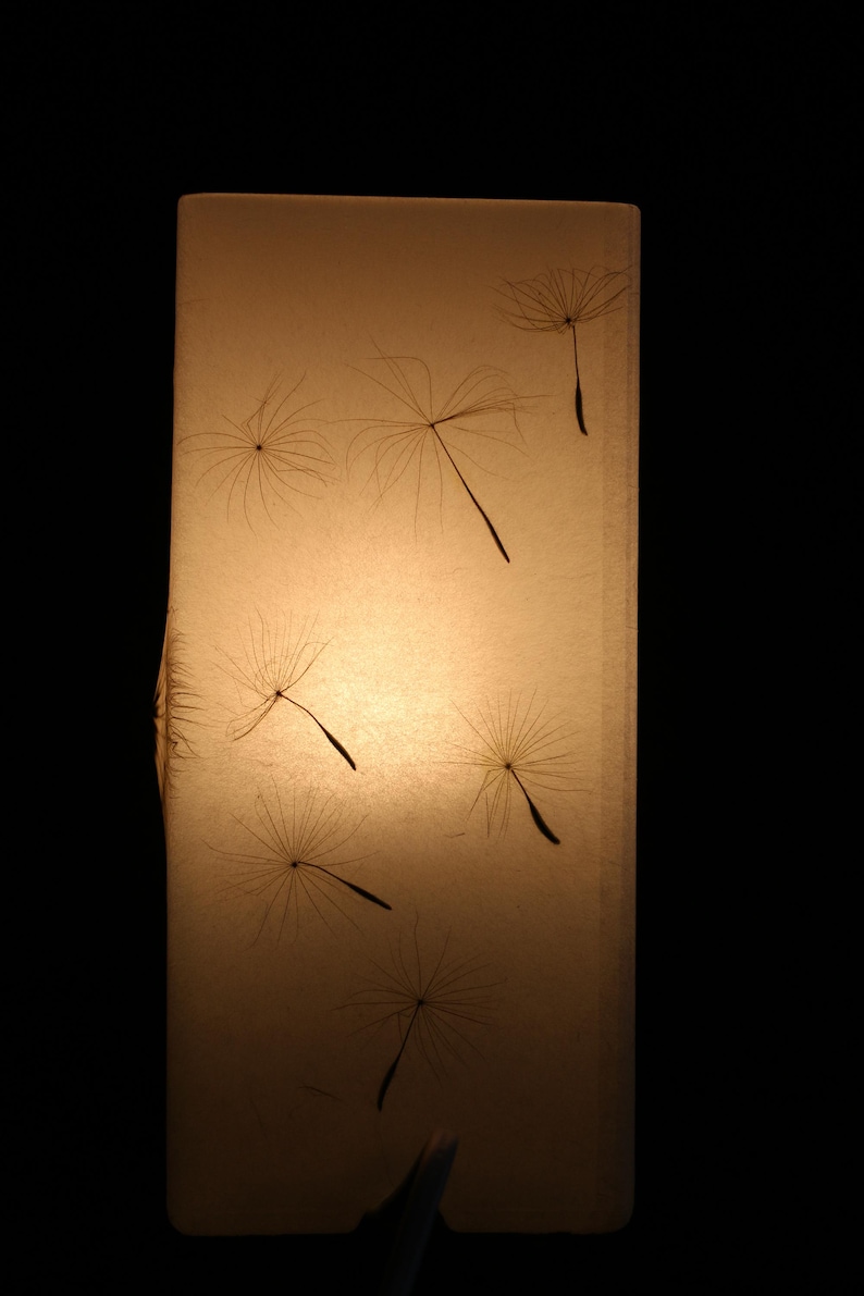 Lampe mit gepresster Riesen-Pusteblume, Lamp with Pressed Giant Dandelion image 8