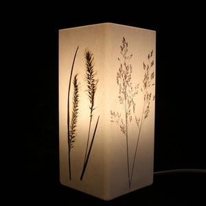 Lampe mit gepressten Gräsern, lamp with pressed grass