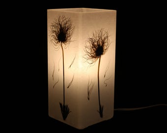 Lampe mit gepressten Küchenschellen - Lámpara con Pulsatilla vulgaris prensada