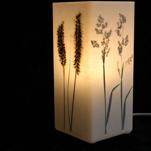 Lampe mit gepressten Gräsern, lamp with pressed grass