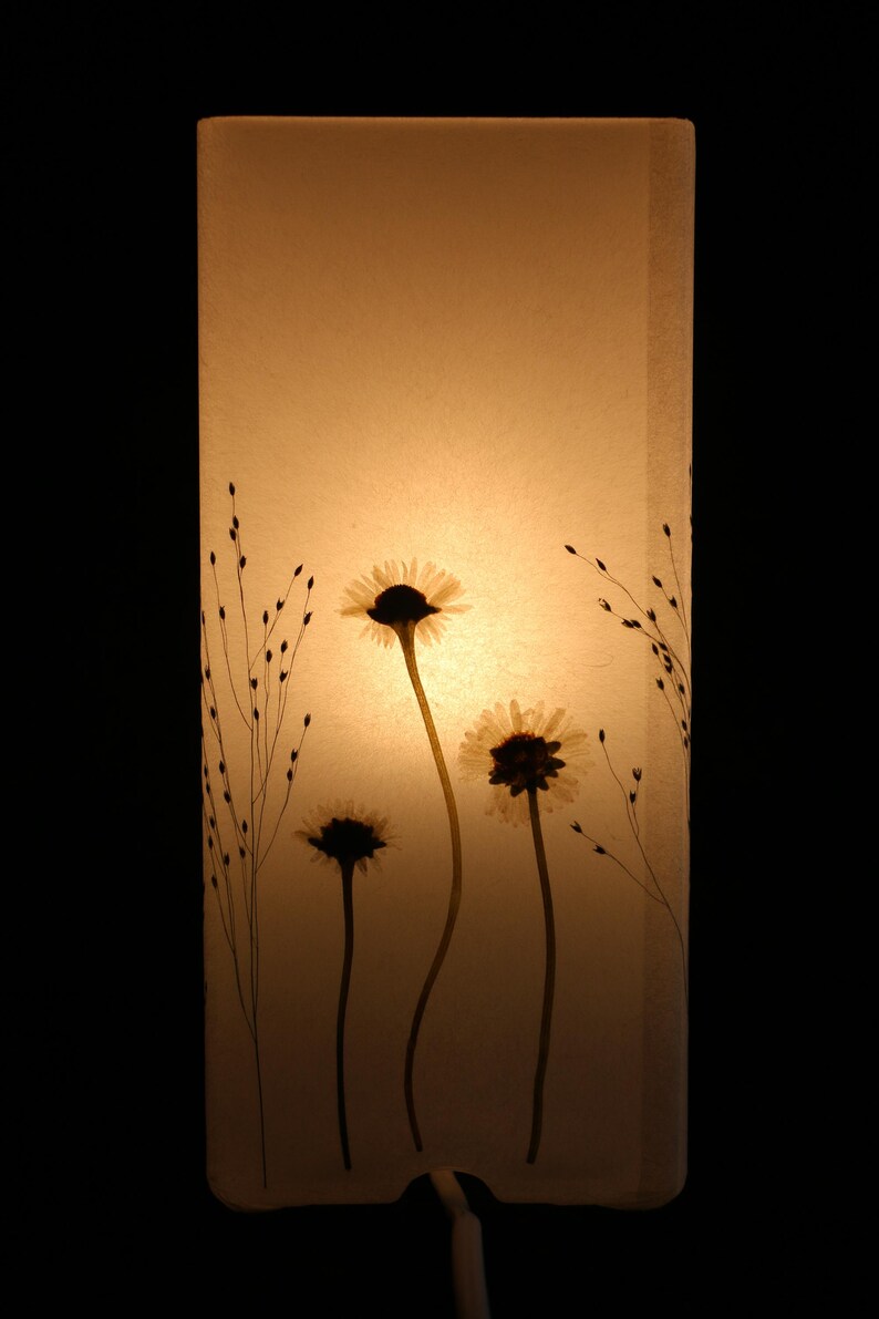 Lampe mit gepressten Gänseblümchen und Fontänengras, Lamp with pressed daisies image 8