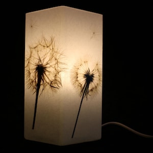 Lampe mit gepresster Riesen-Pusteblume, Lamp with Pressed Giant Dandelion