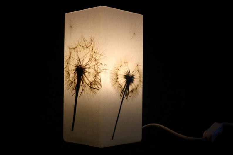 Lampe mit gepresster Riesen-Pusteblume, Lamp with Pressed Giant Dandelion image 1