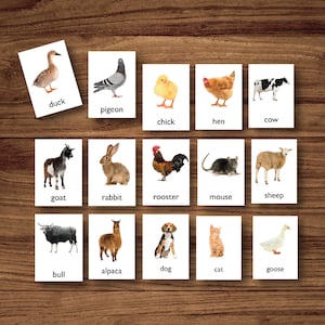 Schede Flash Animali da fattoria 24 Schede Montessori Schede Flash Giocattoli prescolari Schede promemoria Flashcard educative