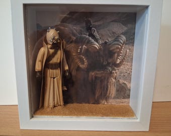 diorama personalizzato di Star Wars con teca espositiva