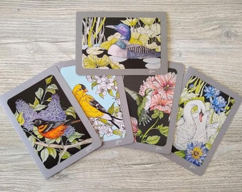 Wild Birds Card Set / 5x7 Blank Cards / Set of 5 Bird Art Cards