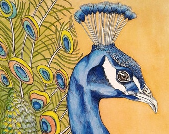 May include: Watercolor painting of a peacock in profile, featuring a vibrant blue neck and head with a crest. The peacock's feathers display a mix of green, yellow, and blue hues against a warm, golden background. The artwork is signed in the bottom right corner.