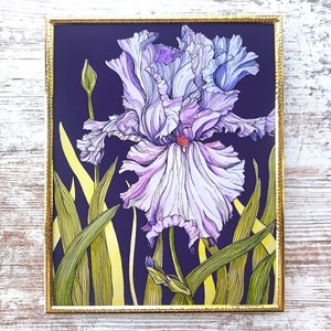 Bearded Iris Print / 8x10 Floral Wall Art / Purple Flower Art Print