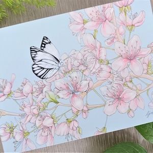 Cherry Blossom Art Print  /  Butterfly Wall Art  / 5x7 Butterfly Print  /  Spring Illustration Print