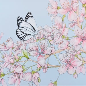 Cherry Blossoms Watercolor Art Print  /  Butterfly Floral Wall Art  /  8x10 Butterfly Art  /  Spring Illustration Print