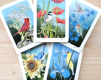Backyard Birds Card Set  Wild Bird Blank Cards  5x7 Bird Illustration Cards  Set of 5 Variety Bird Art Cards   Bird Lover Gift
