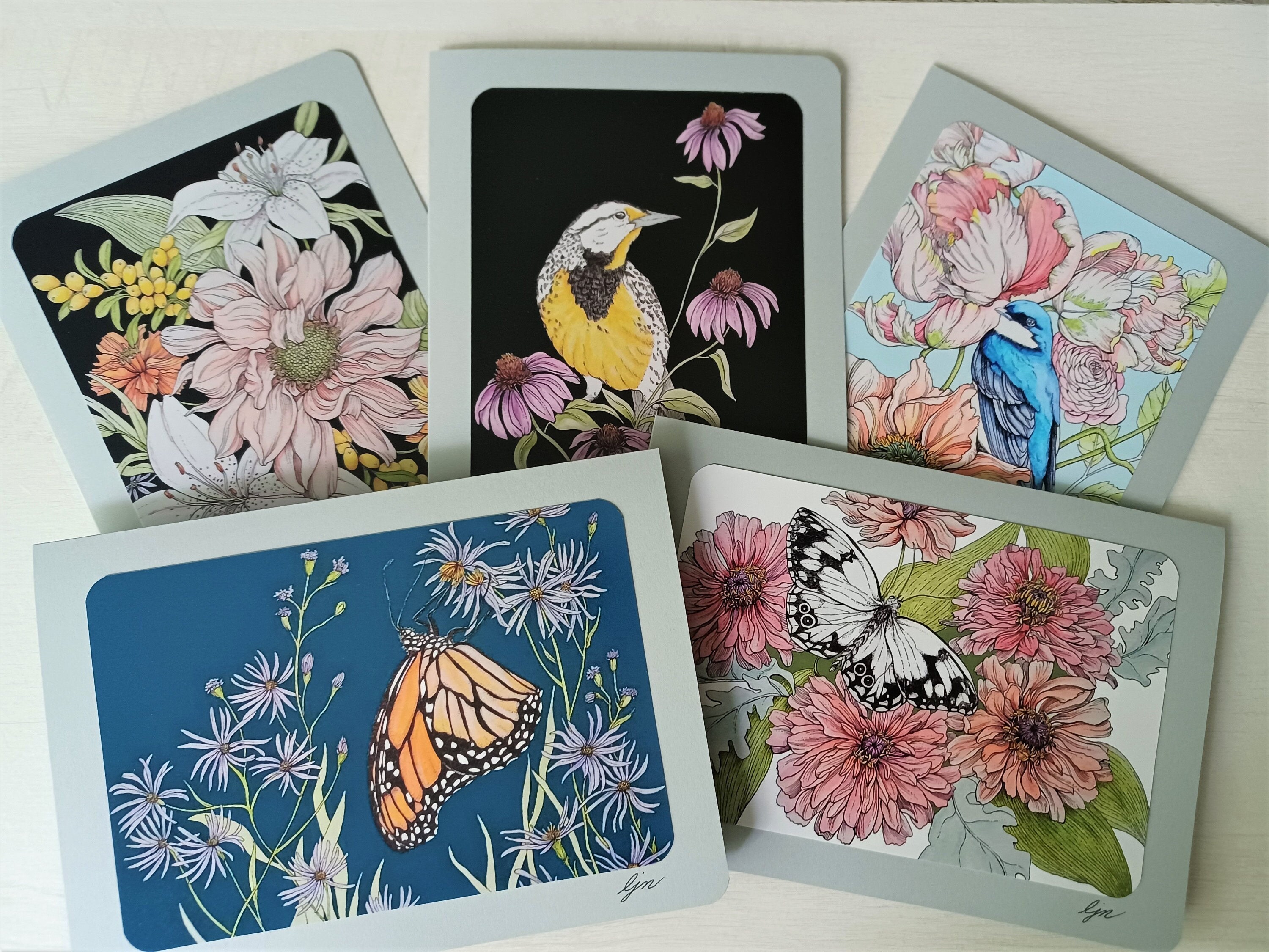 Nature Card Set / 5x7 Blank Cards / Birds & Butterflies Art Cards / Set ...