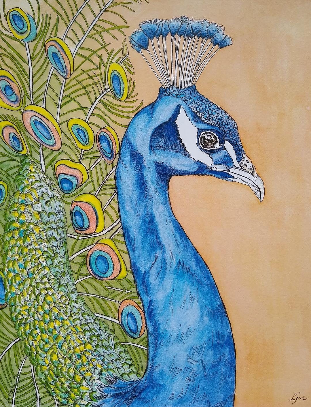 Peacock Painting/ Watercolor Bird Print/ 8x10 Art Print Etsy New Zealand