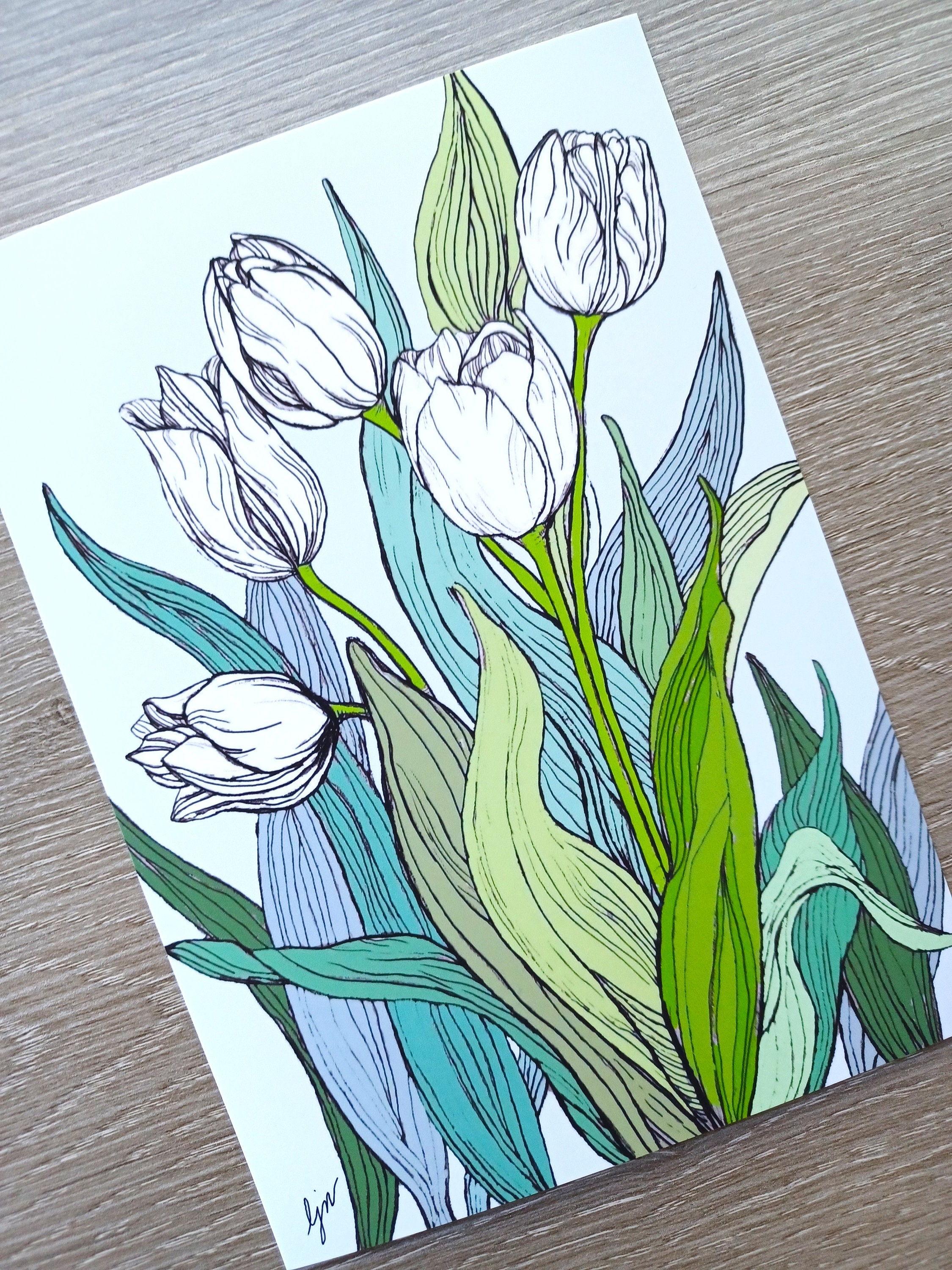 White Tulips Art Print, 5x7 Flower Art, Floral Illustration, Spring ...