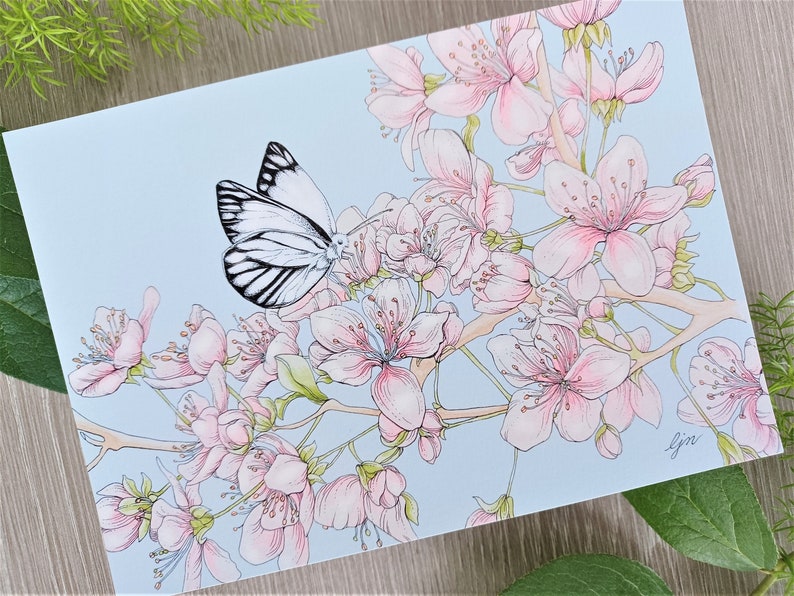 Cherry Blossom Art Print / Butterfly Wall Art / 5x7 Butterfly Print